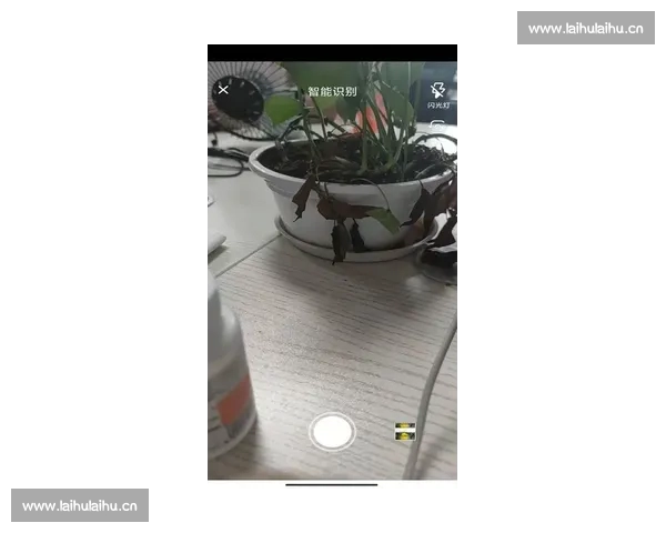 全面掌握全球足球赛事精彩动态，下载最强足球赛事APP尽享实时比分与赛程提醒